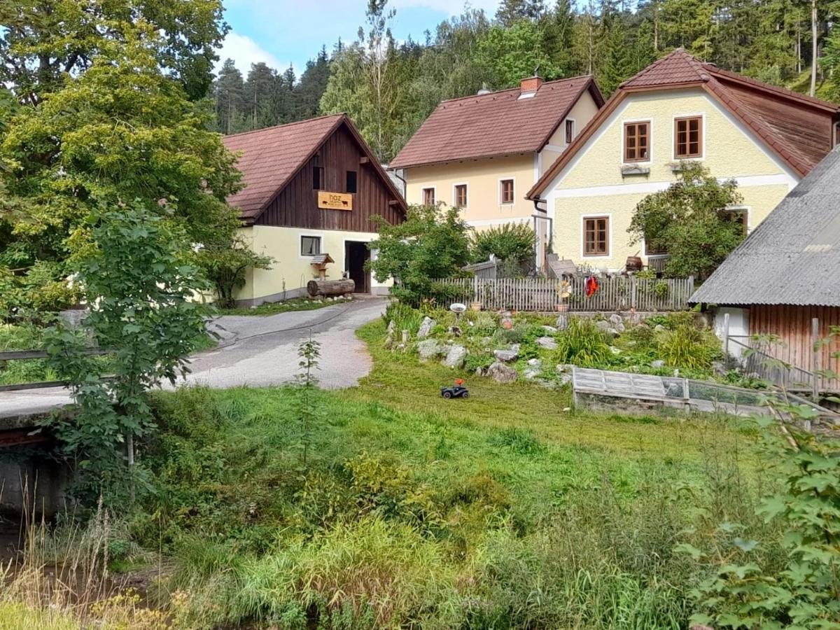 Apartment Nazbauerhof Rohr im Gebirge Exterior photo